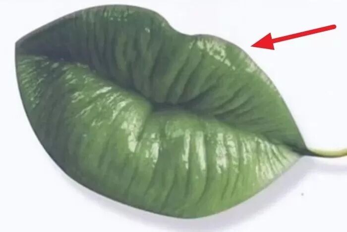 Листок чи губи? Тест покаже, наскільки ви вперта людина