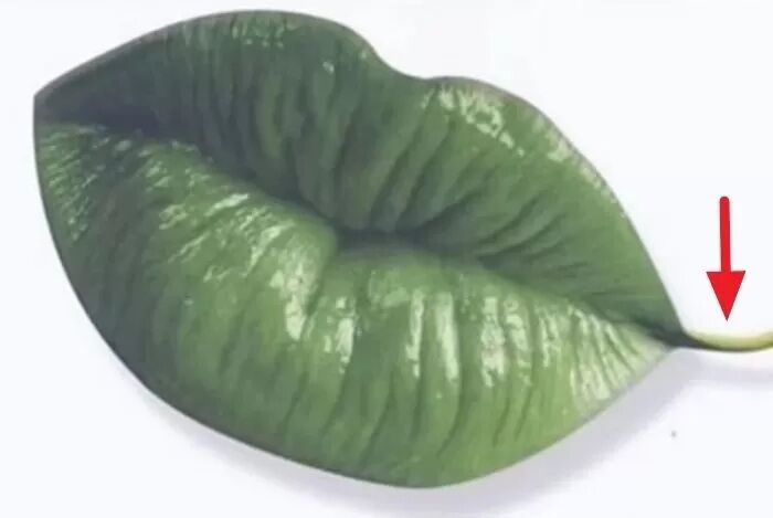 Листок чи губи? Тест покаже, наскільки ви вперта людина