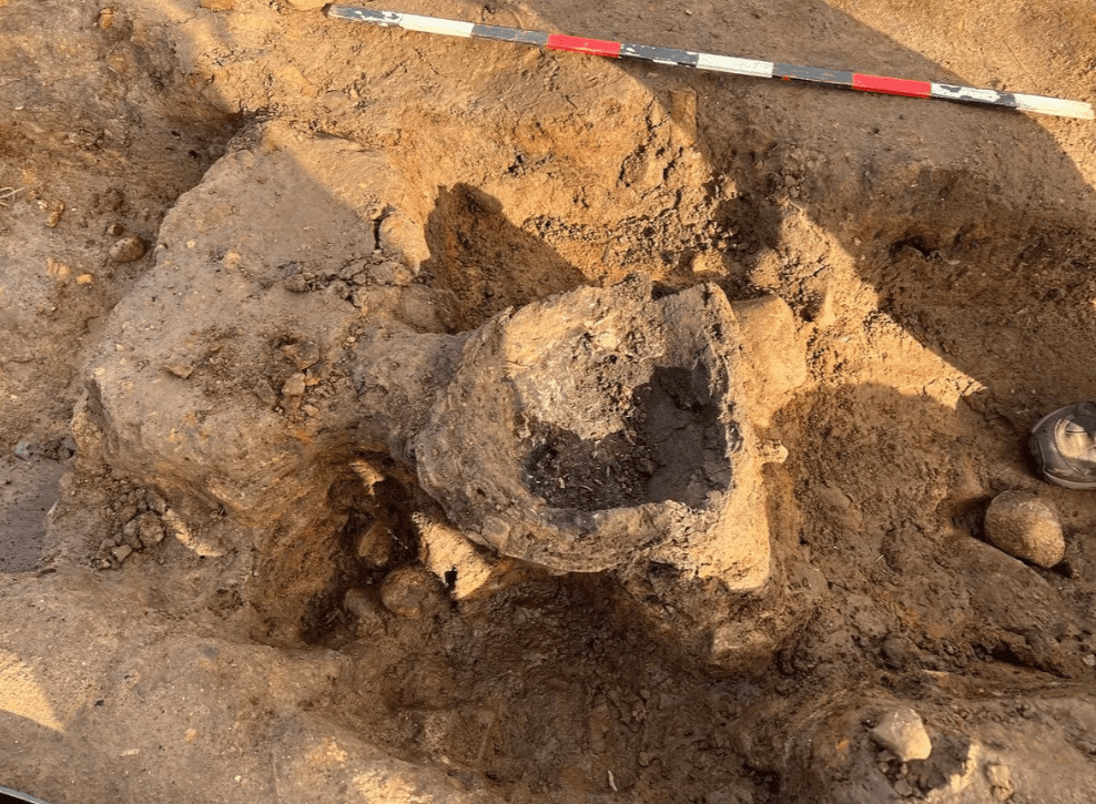 В Англії знайшли цвинтар, якому 4000 років: це проллє світло на невідомий бік історії. Фото