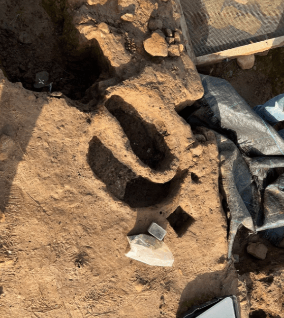 В Англії знайшли цвинтар, якому 4000 років: це проллє світло на невідомий бік історії. Фото