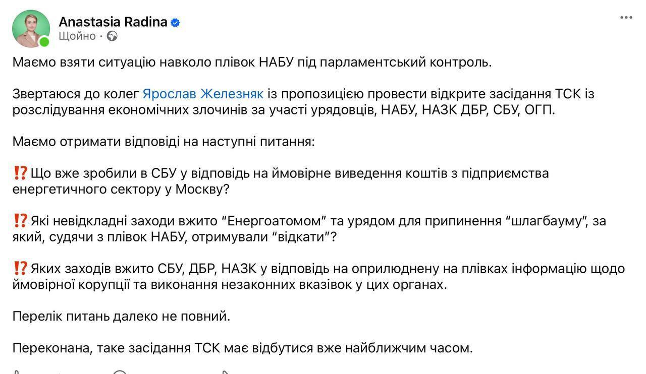 Нардеп Радина призвала созвать ВСК из-за ситуации в энергетике