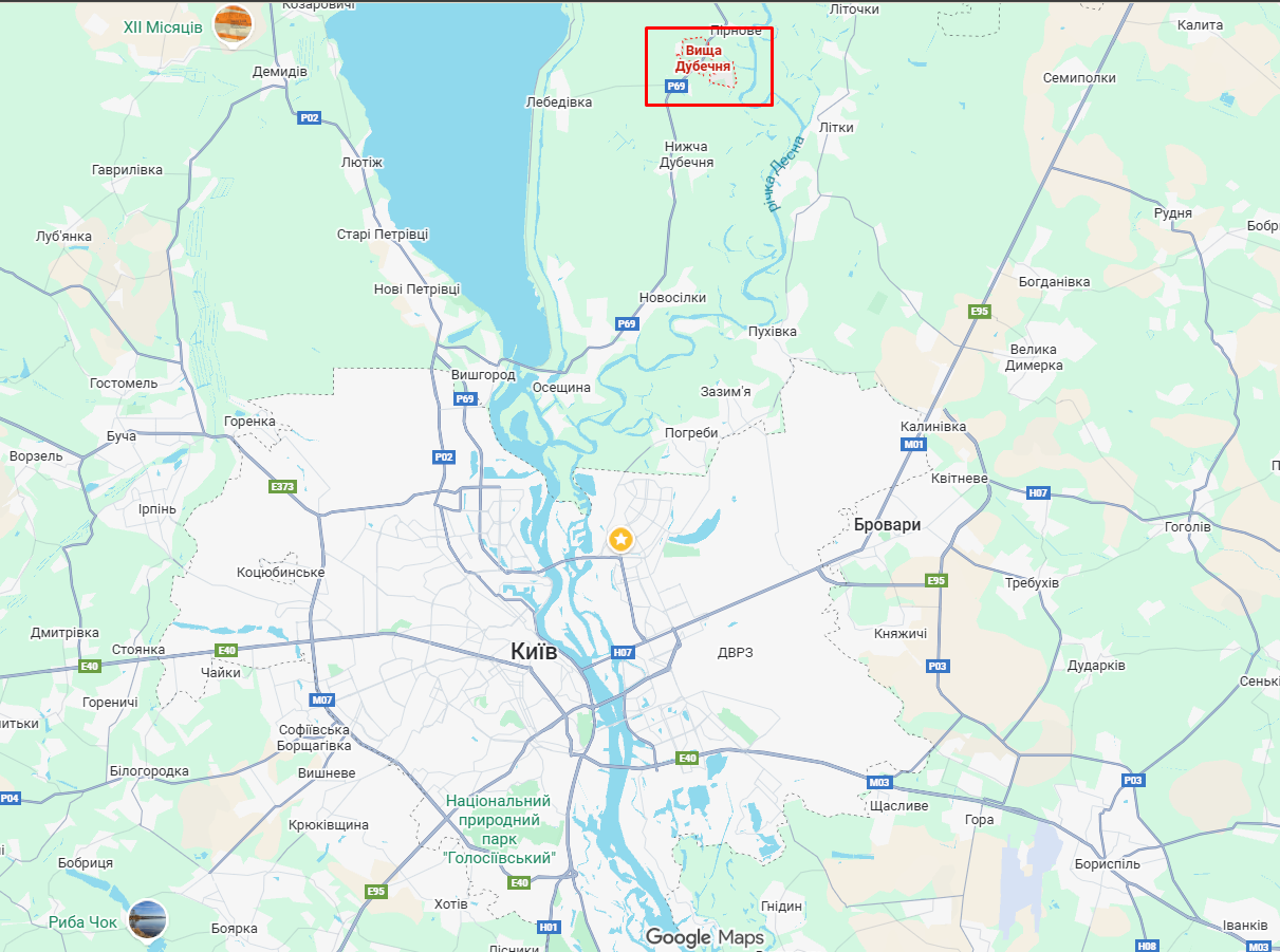 Під Києвом вантажне авто збило на смерть жінку. Подробиці ДТП та фото