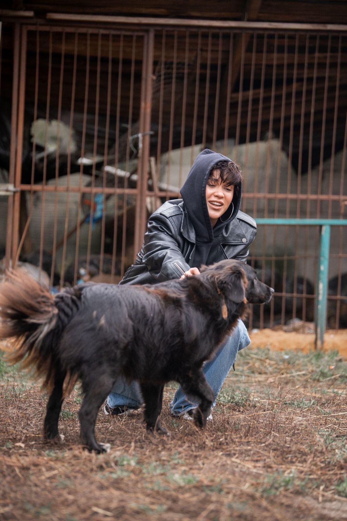 "Запали зірку тепла": українські знаменитості долучились до зимової кампанії допомоги тваринам