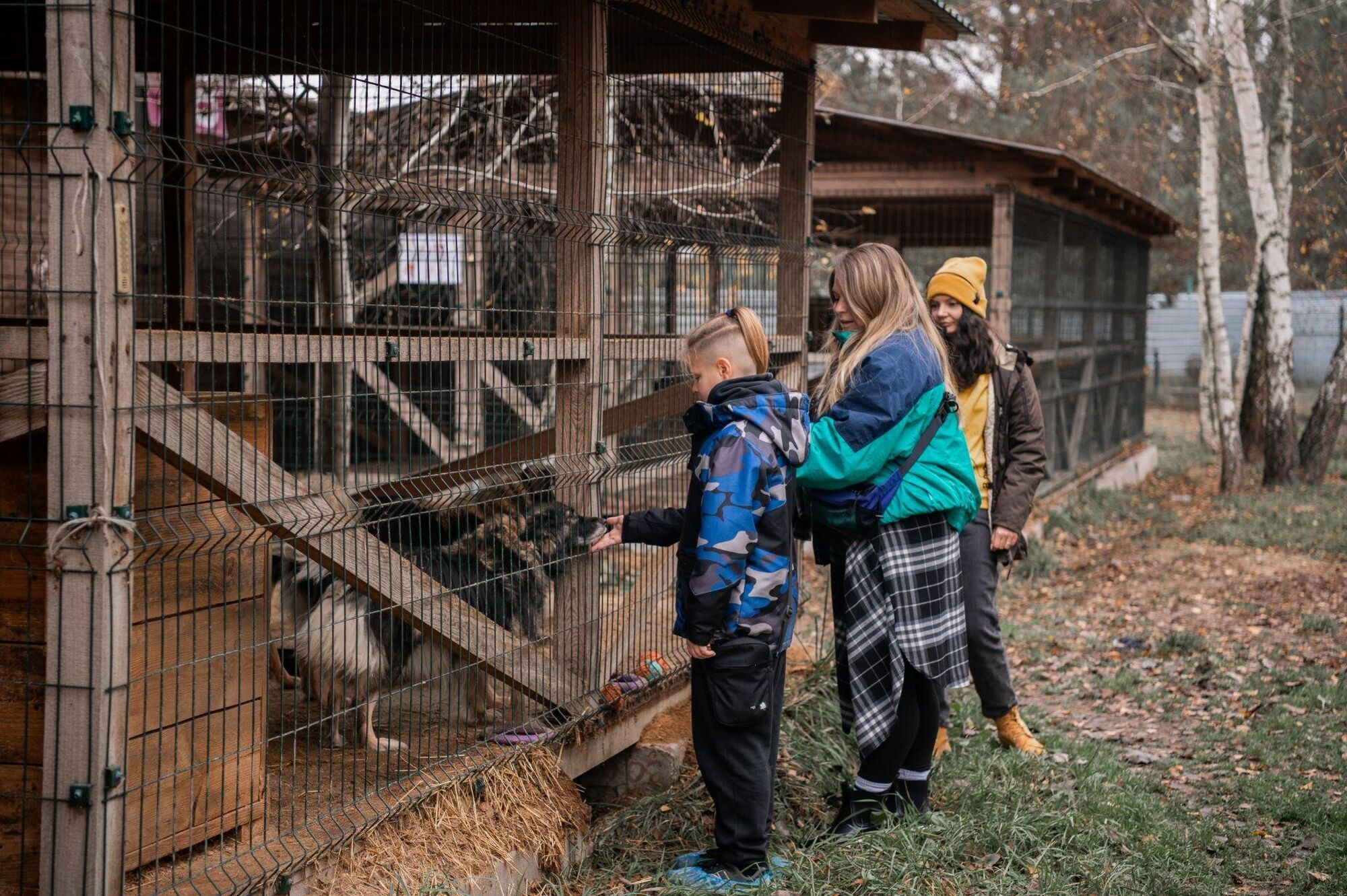 "Запали зірку тепла": українські знаменитості долучились до зимової кампанії допомоги тваринам