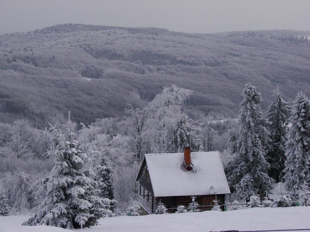 Сколько стоят дома в Карпатах зимой