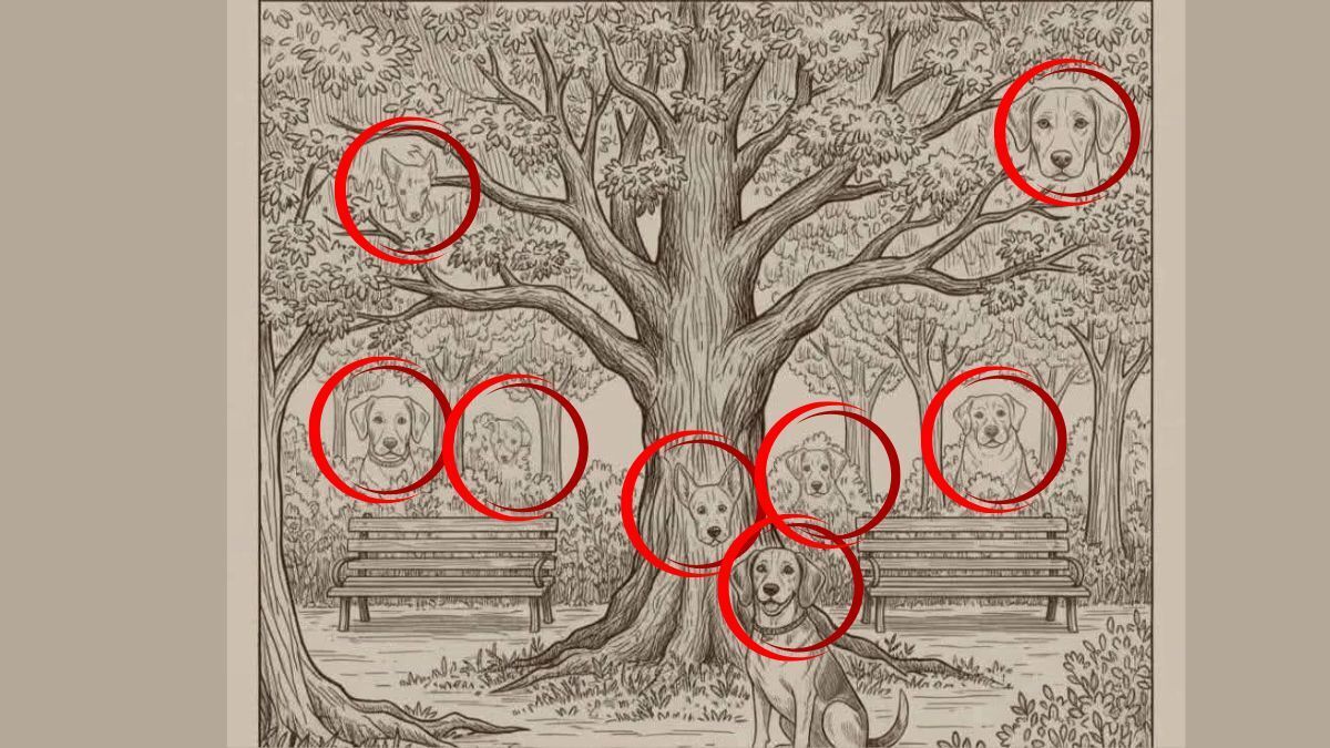 Сколько собак спряталось на рисунке: посчитайте всех