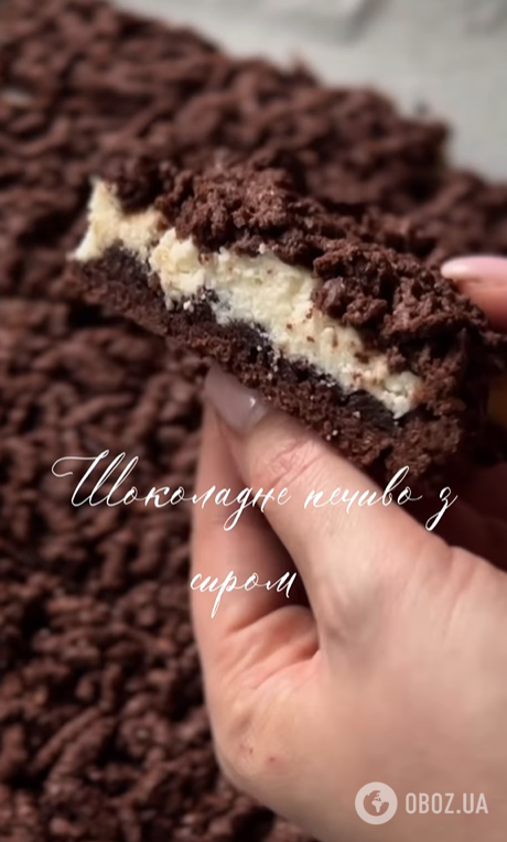 Вкусное шоколадное печенье с творогом к чаю: готовится из тертого теста