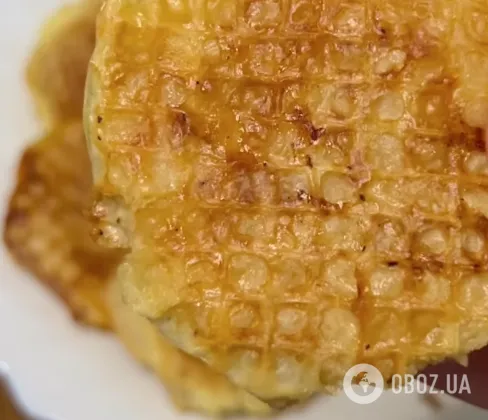 Мясные бризоли с сыром: рецепт вкусного блюда, которое готовится в духовке