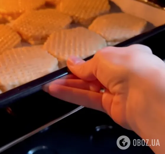 Мясные бризоли с сыром: рецепт вкусного блюда, которое готовится в духовке