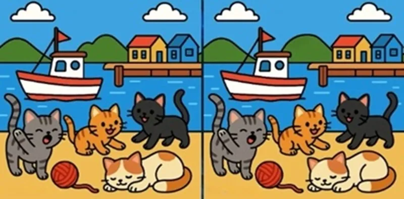 Найдите отличия на рисунках с котами: головоломка