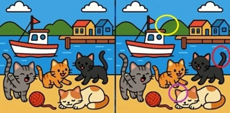 Найдите отличия на рисунках с котами: головоломка