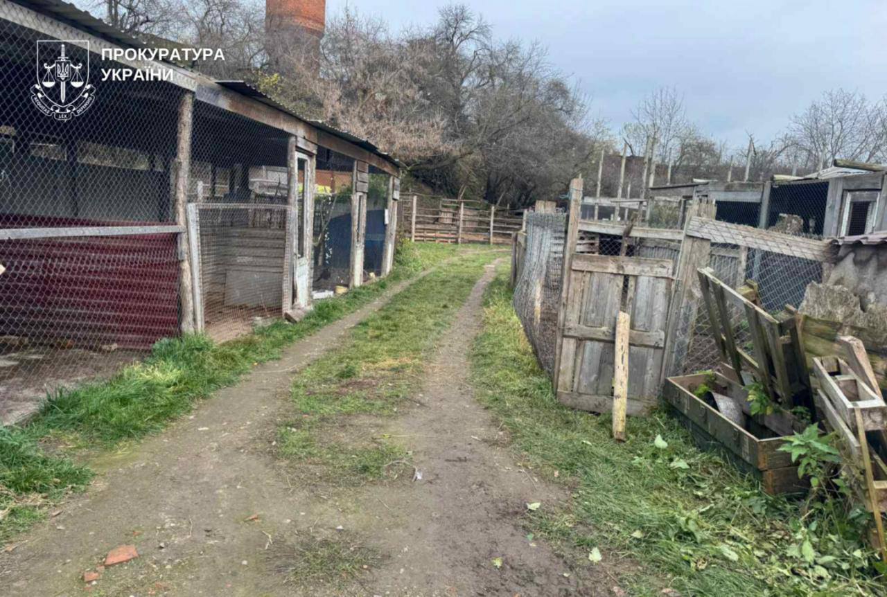 У Хмельницькому з реабілітаційного центру втекли дві левиці: підключали поліцію та ДСНС. Фото та відео