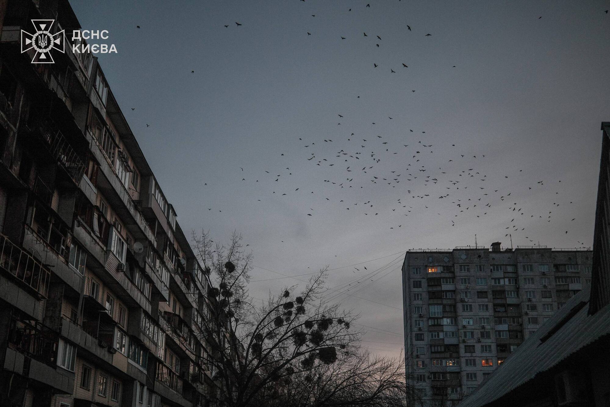 Врятовано 68 людей, серед них – п'ятеро дітей: у Деснянському районі завершили аварійні роботи після жахливої атаки РФ. Фото