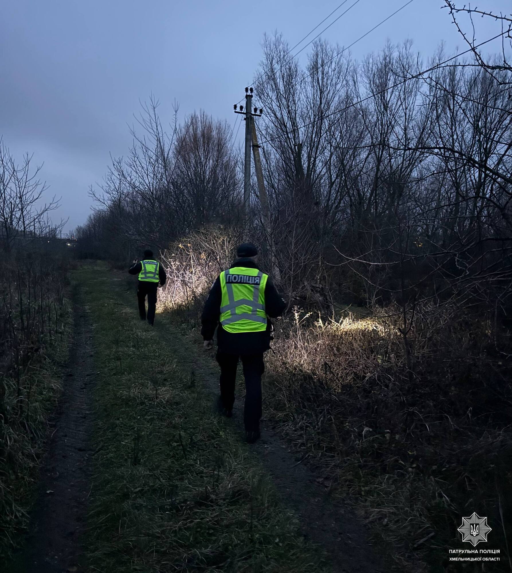 У Хмельницькому з реабілітаційного центру втекли дві левиці: підключали поліцію та ДСНС. Фото та відео