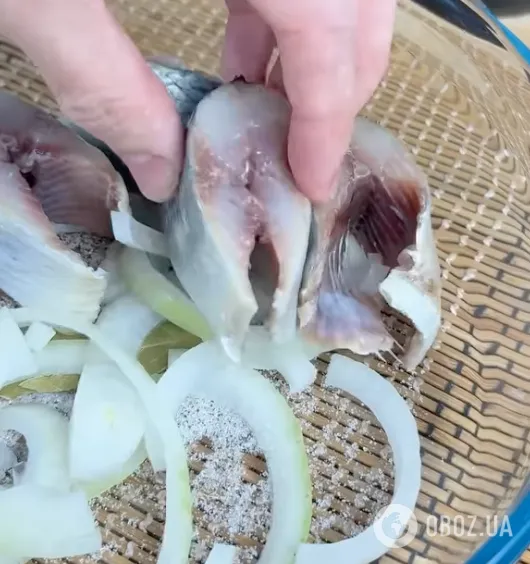 Почему нужно обязательно добавить сельдь в свой рацион и как часто есть продукт: советы от Светланы Фус