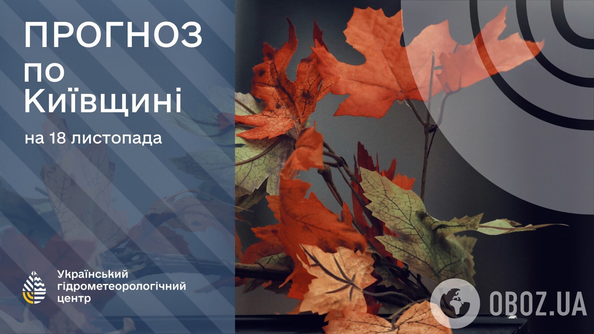 Погода начинает портиться: синоптики сказали, где во вторник ожидать дождей со снегом. Карта