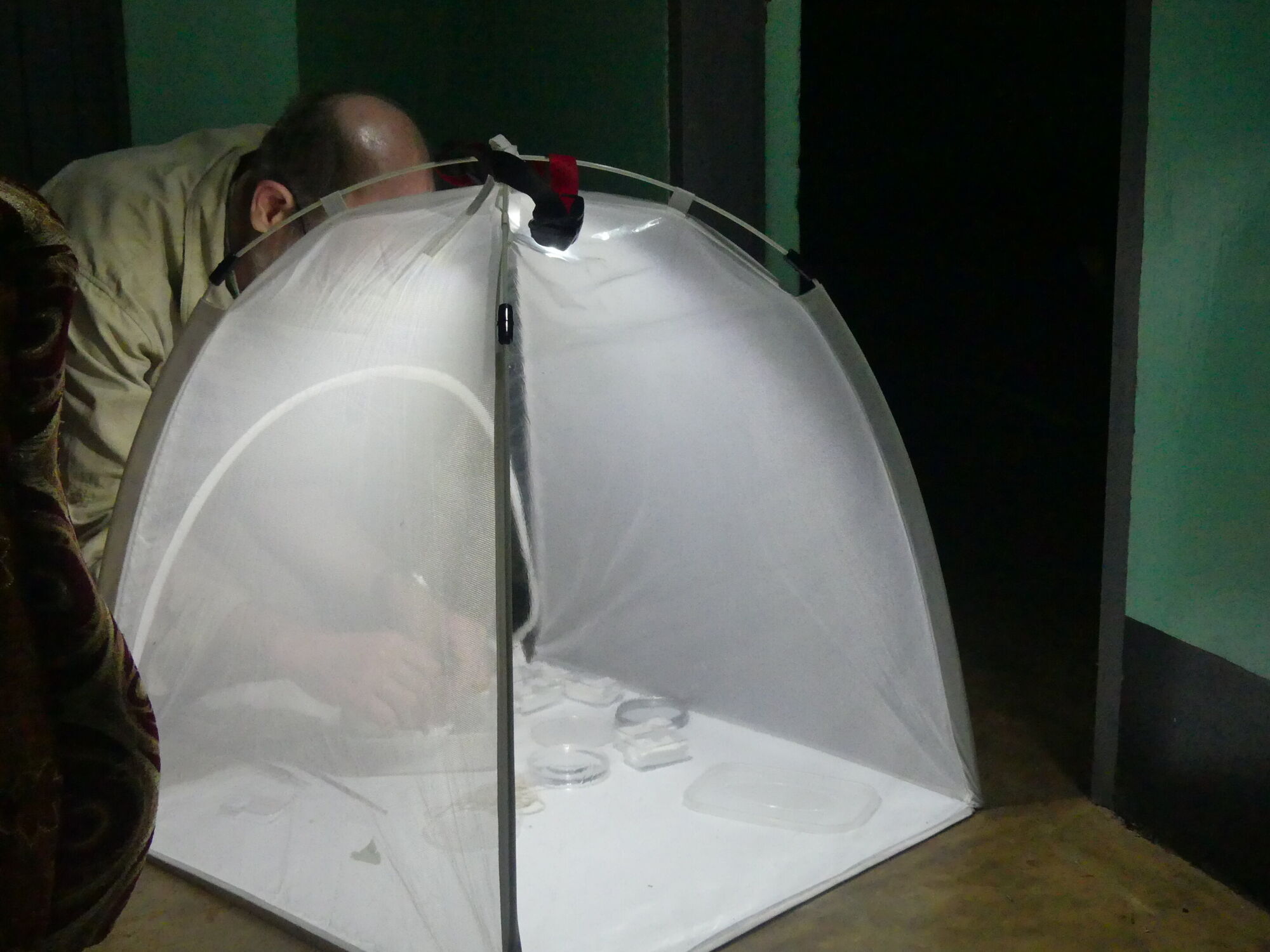 У тропічних лісах знайшли дивних істот, схожих на жаб: фото вас здивують