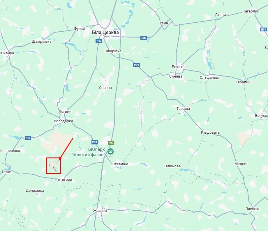 На Київщині п’яний водій на швидкості збив пішохода. Подробиці ДТП та фото