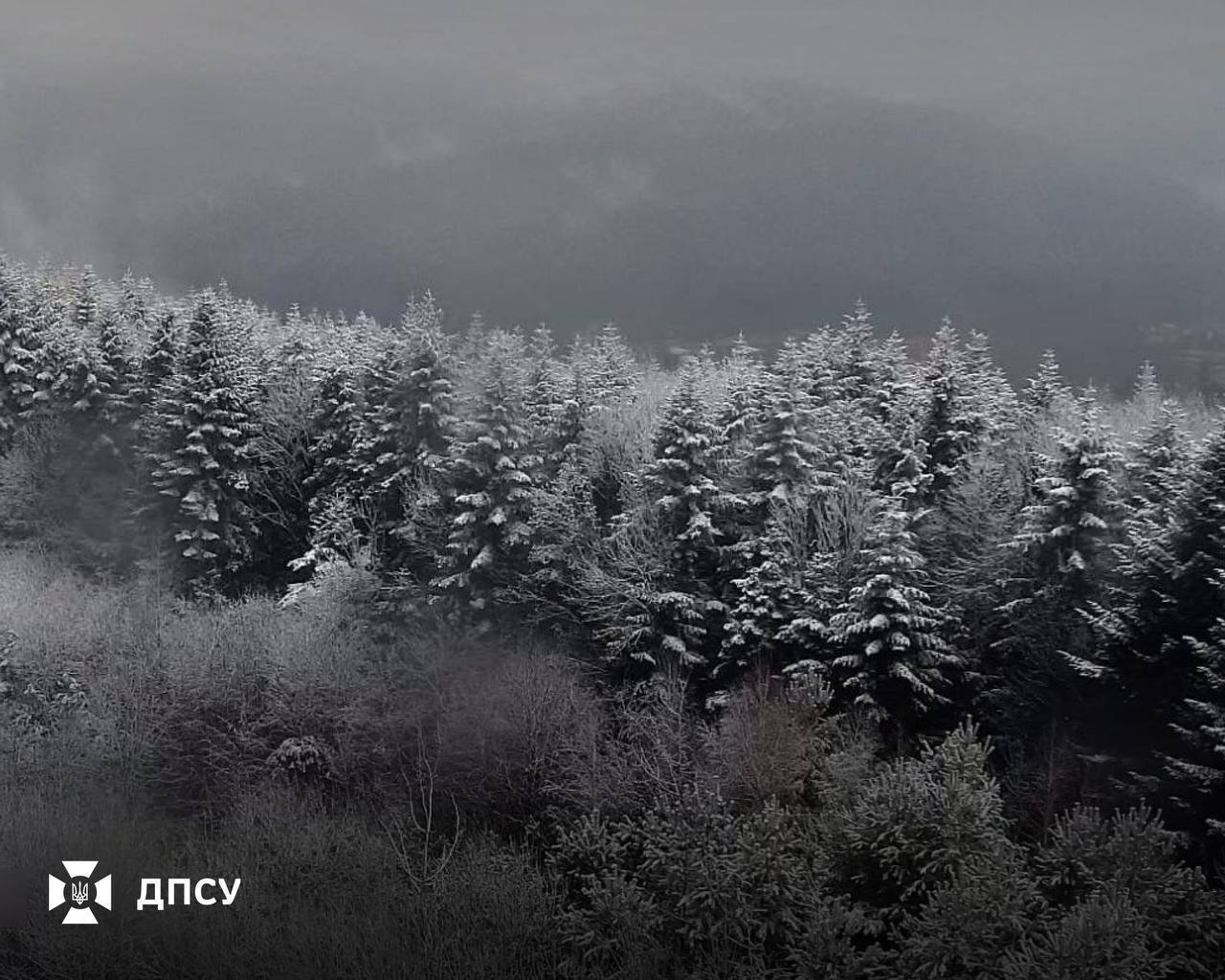 Во Львове и области ночью пошел снег: появились кадры "первого дыхания зимы". Фото и видео