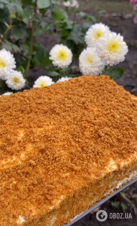 Торт "Медовик" за 30 минут: делимся элементарным рецептом популярного десерта