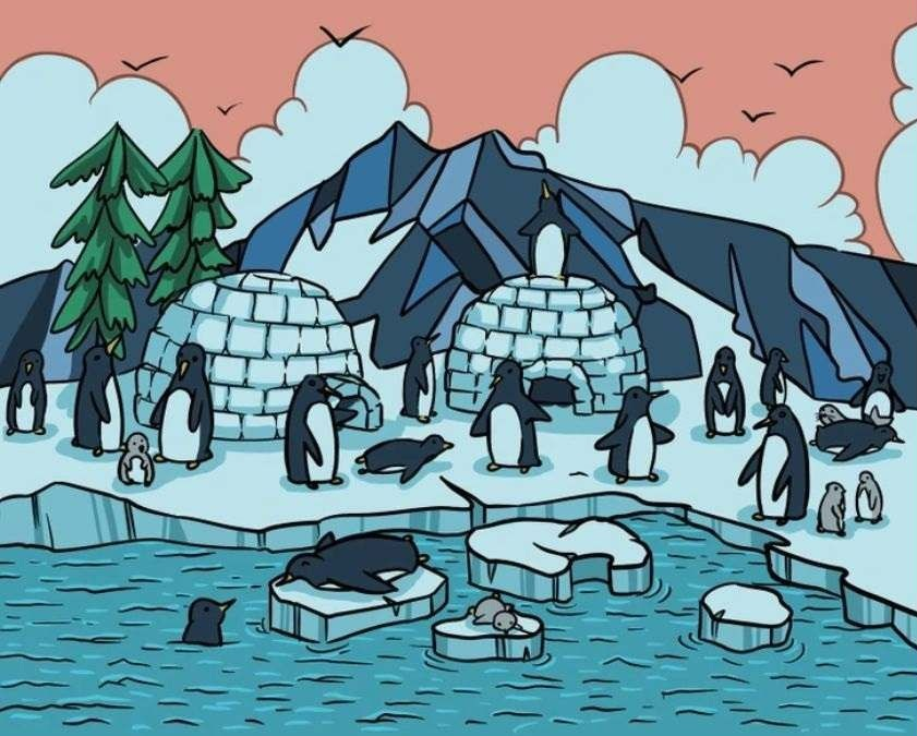 Есть всего 15 секунд: найдите на рисунке морского котика