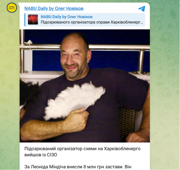 Skyeton і фактор братів Міндічів: аналіз прихованих ризиків виробника українських дронів перед виходом на IPO