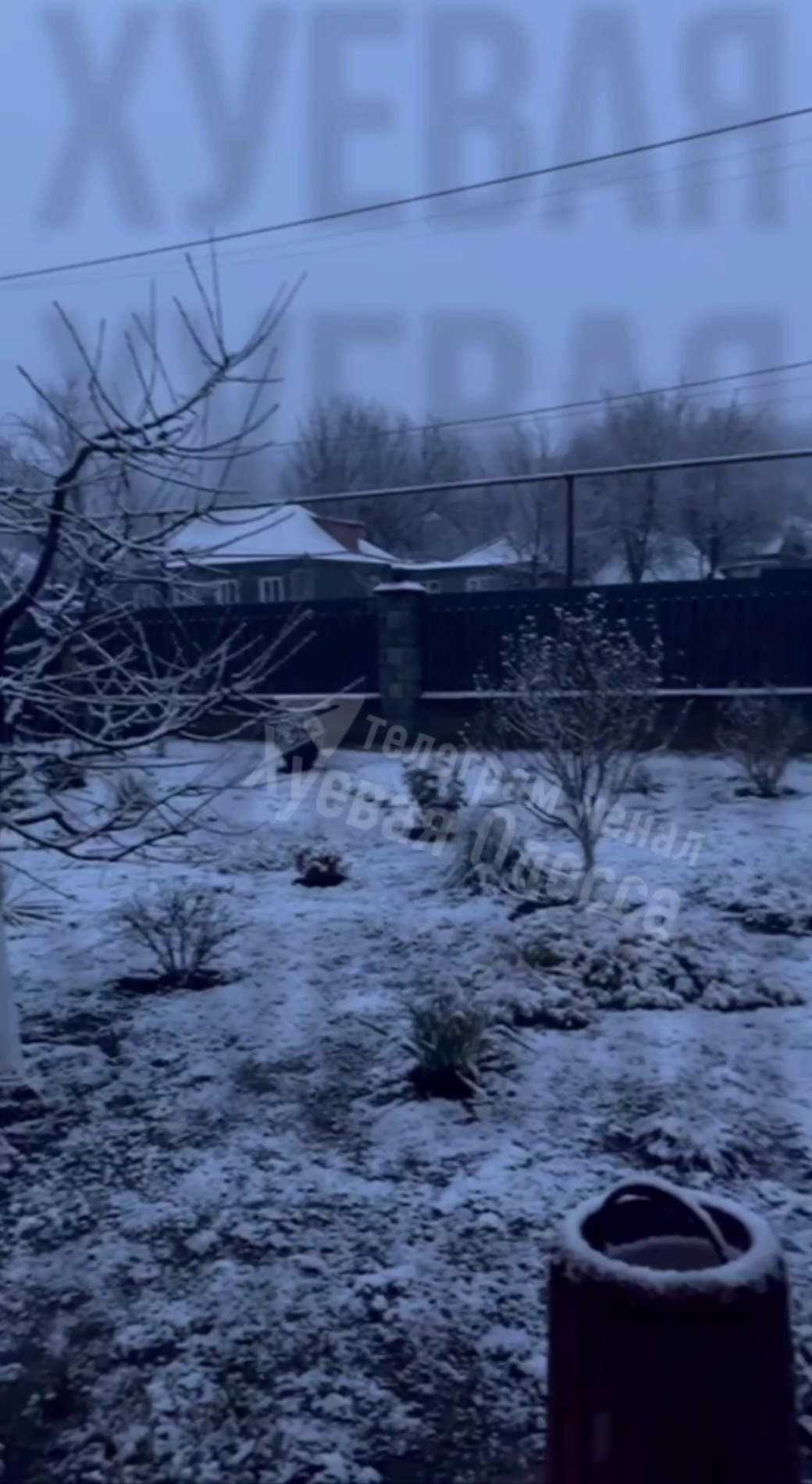 Первое дыхание зимы: в Одесской области выпал снег. Видео