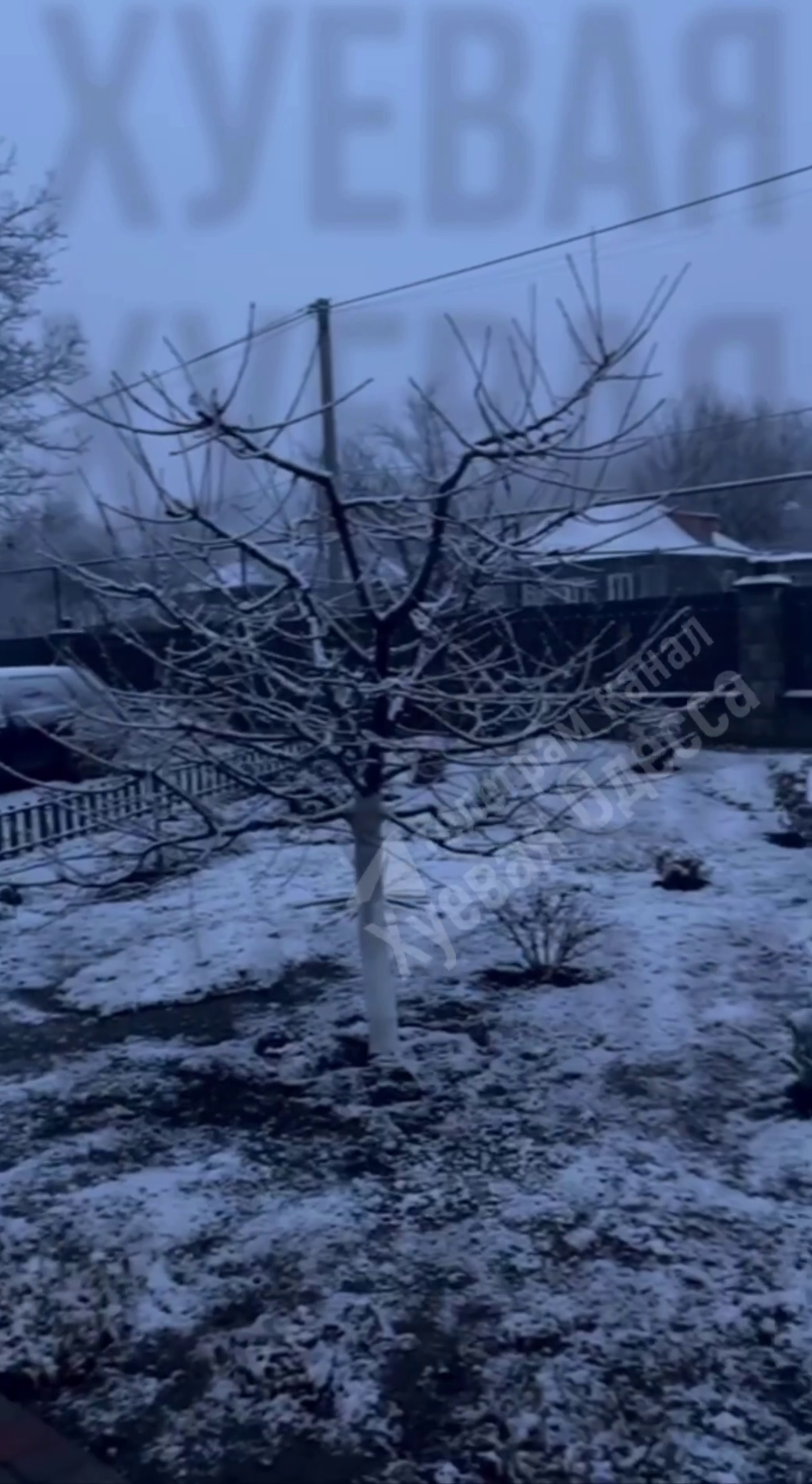 Первое дыхание зимы: в Одесской области выпал снег. Видео