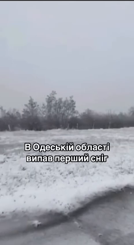 Первое дыхание зимы: в Одесской области выпал снег. Видео