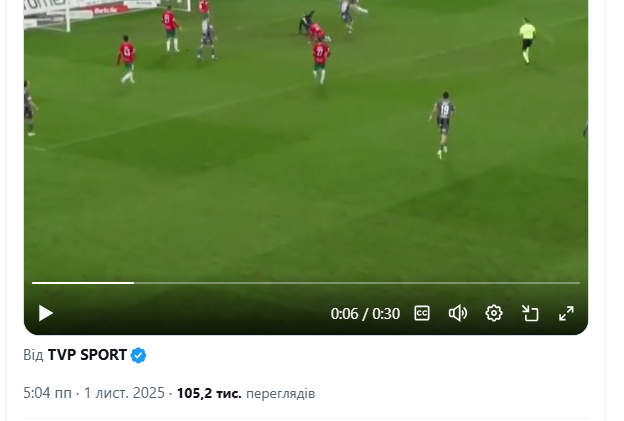 Поляки забили "самый глупый автогол в истории футбола". Видео