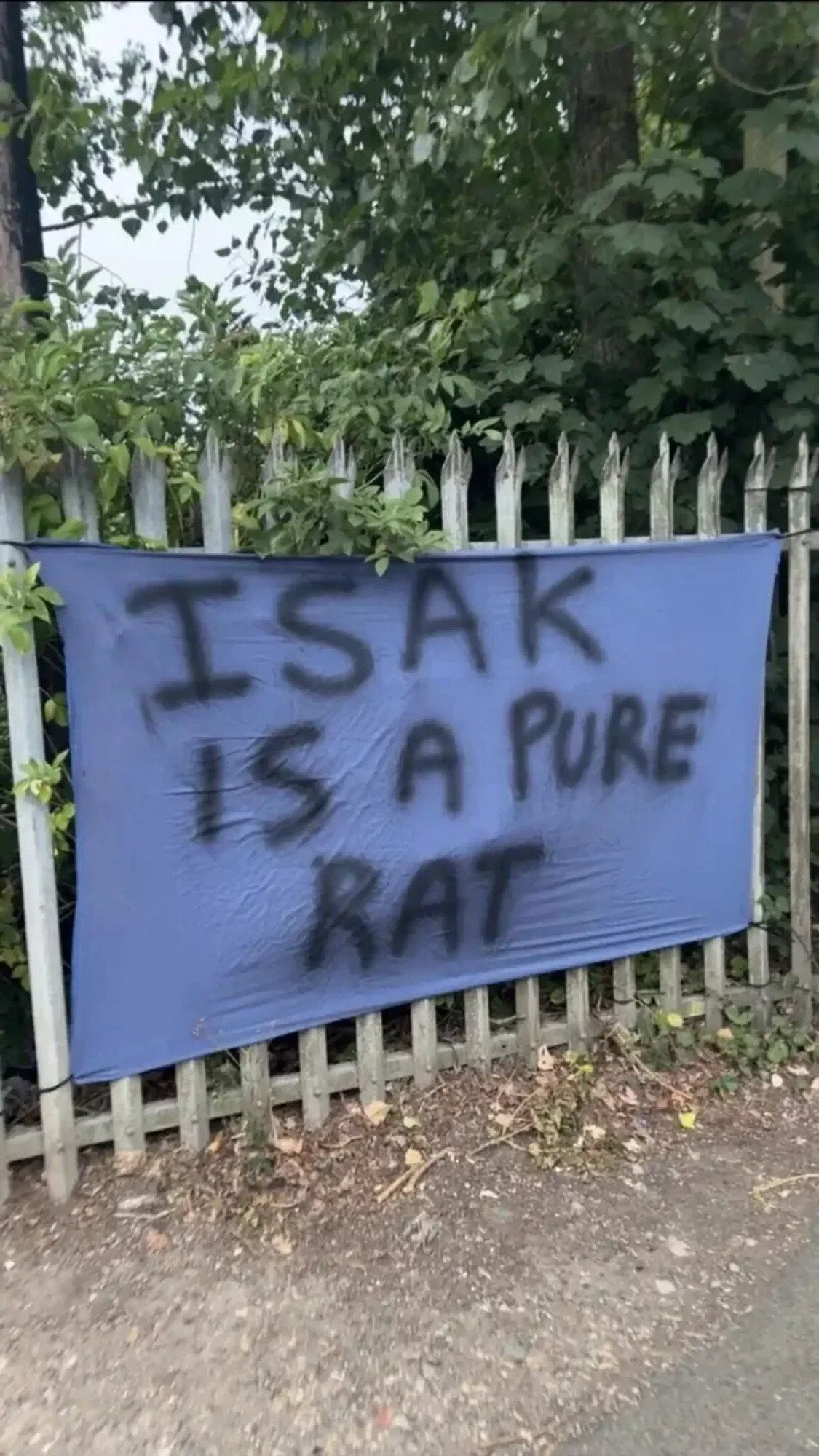 Украина получит неожиданную помощь в войне с Россией, если пройдет Швецию в плей-офф отбора на ЧМ-2026