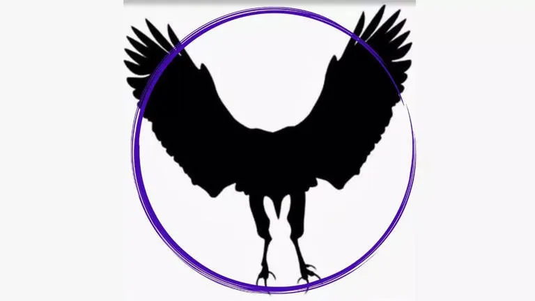 Кролик или орел? Что вы увидели первым на рисунке