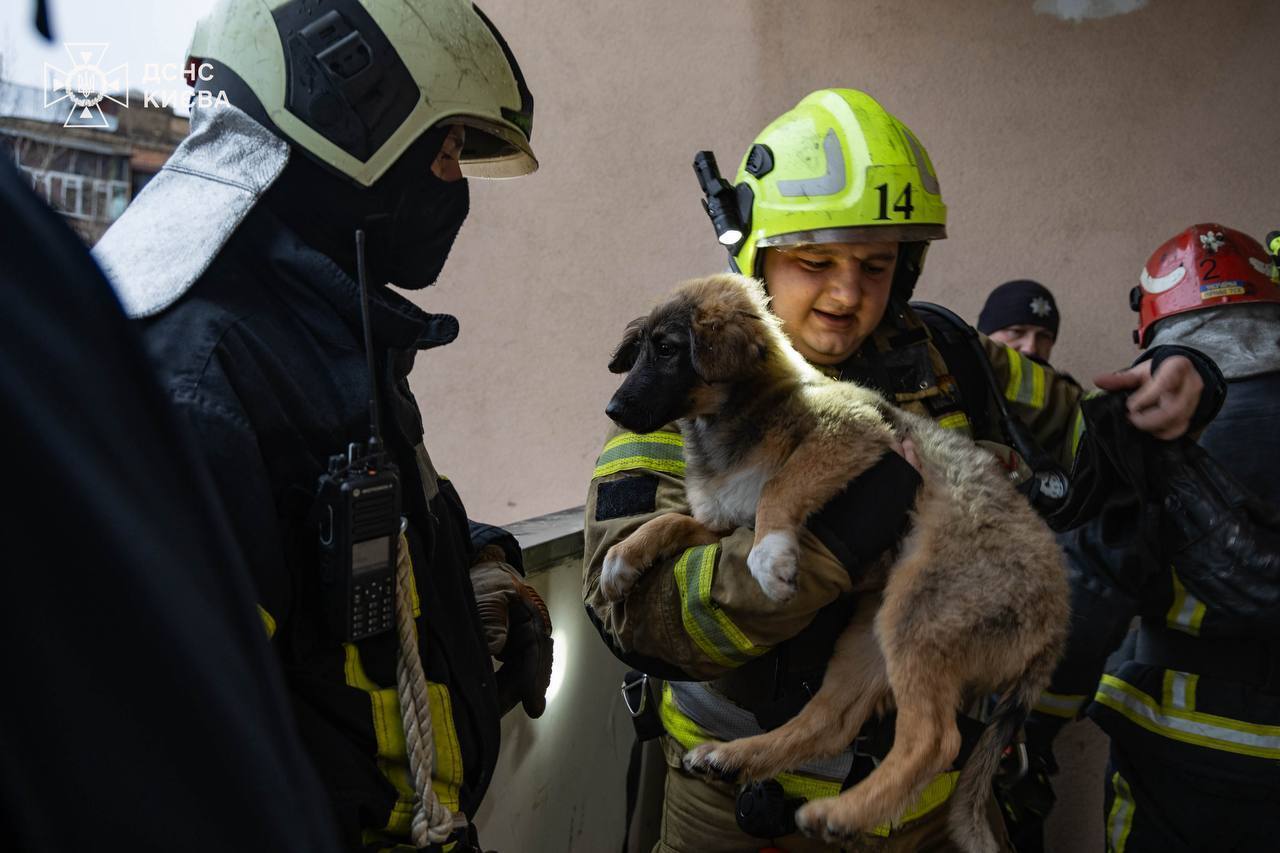 В Киеве произошел взрыв в квартире многоэтажки, возник пожар. Все подробности, фото и видео