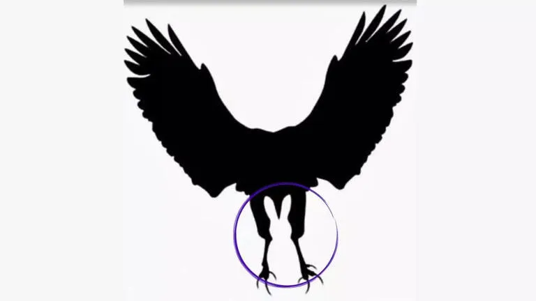 Кролик или орел? Что вы увидели первым на рисунке