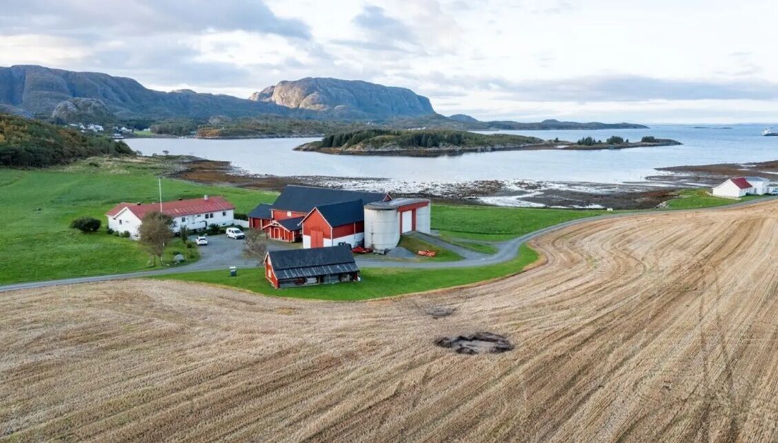 Вчені знайшли могилу жінки часів вікінгів і побачили дивний ритуал. Фото