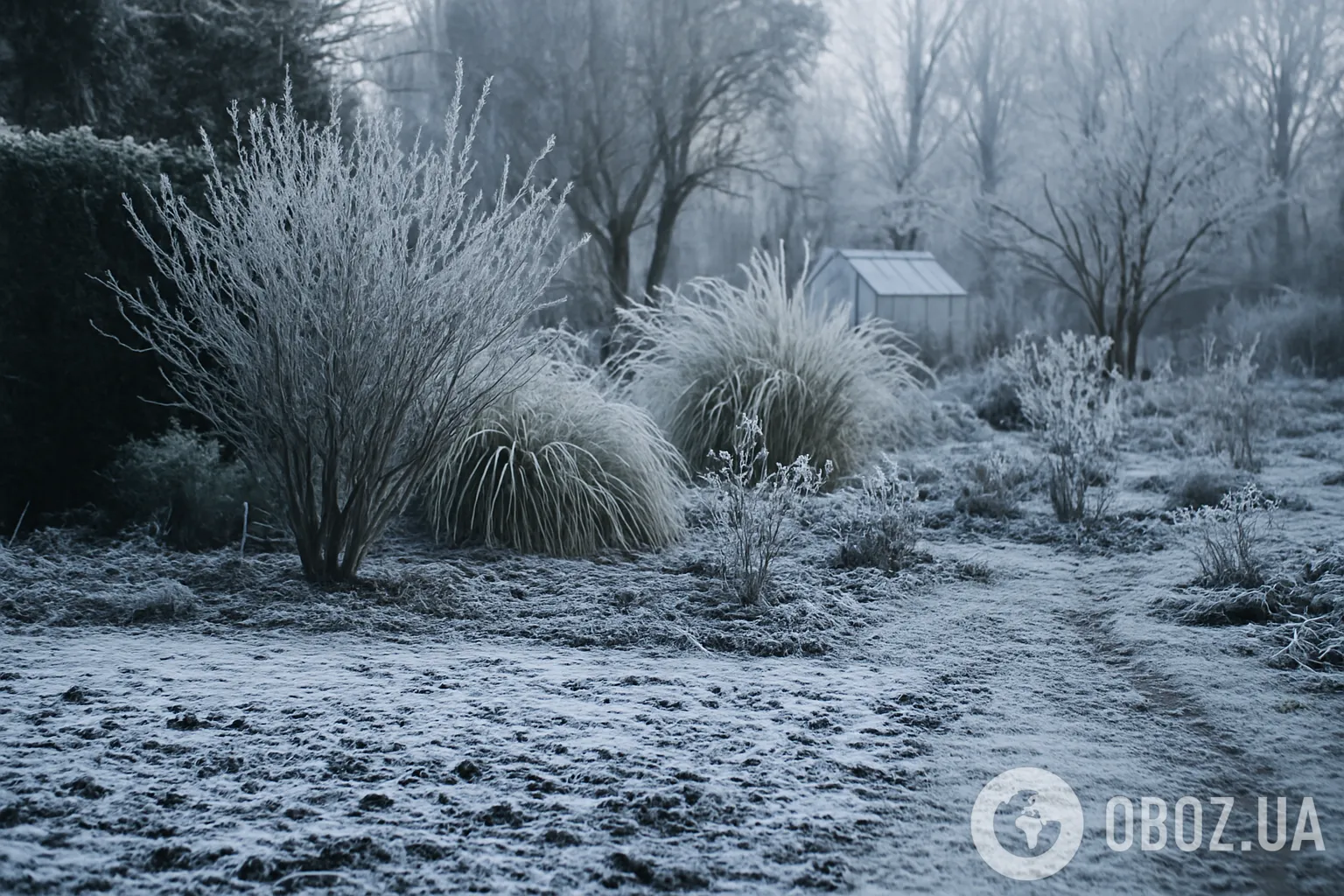 Что нельзя делать в саду, когда замерзла почва: запомните советы