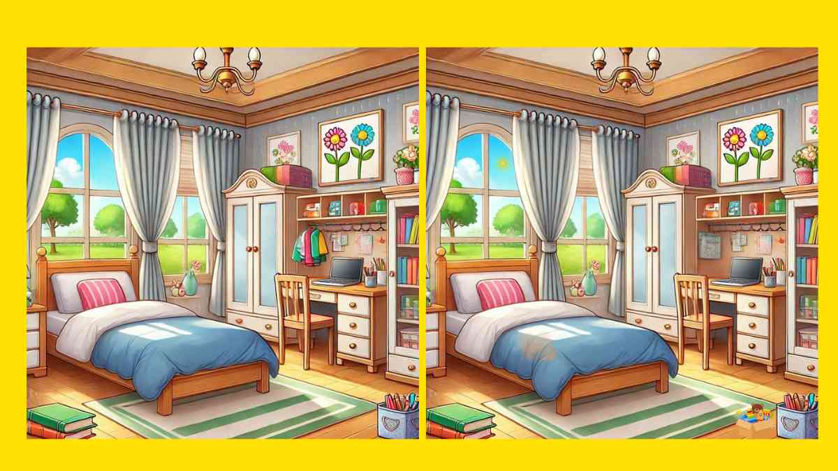 Есть 30 секунд и 4 отличия: головоломка для самых внимательных