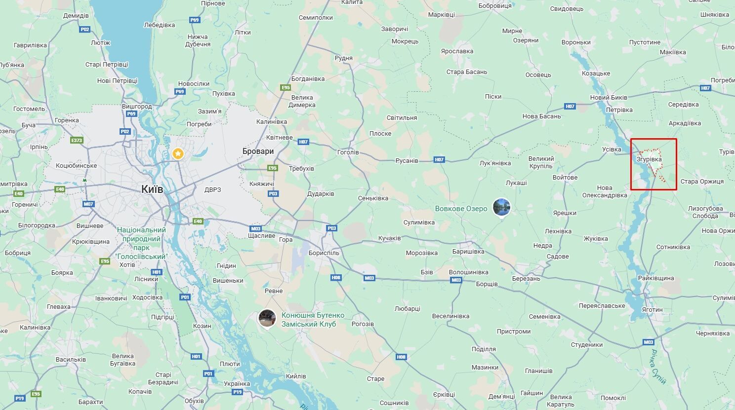 На Київщині легковик збив на смерть 19-річного хлопця. Подробиці ДТП та фото