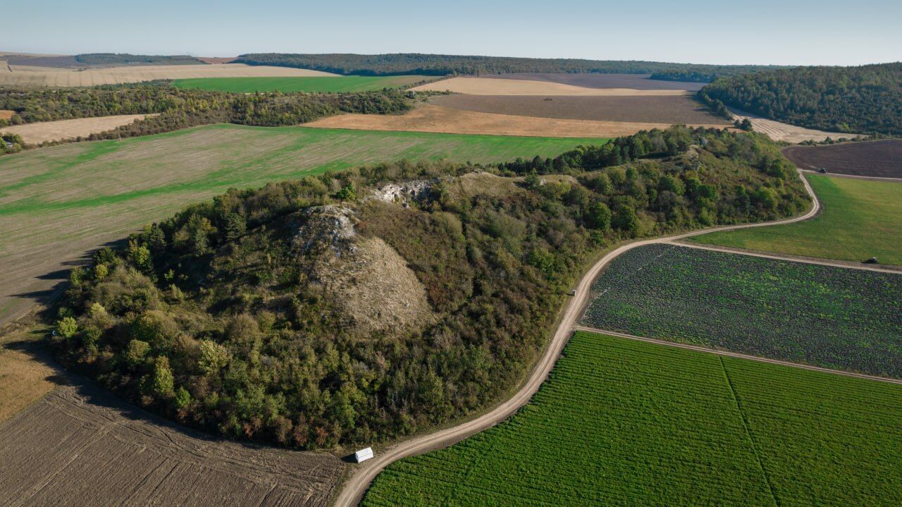 Отдых в "Медоборах"