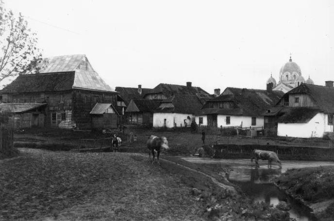 Дуже рідкісні кадри: Львів показали на столітніх фото