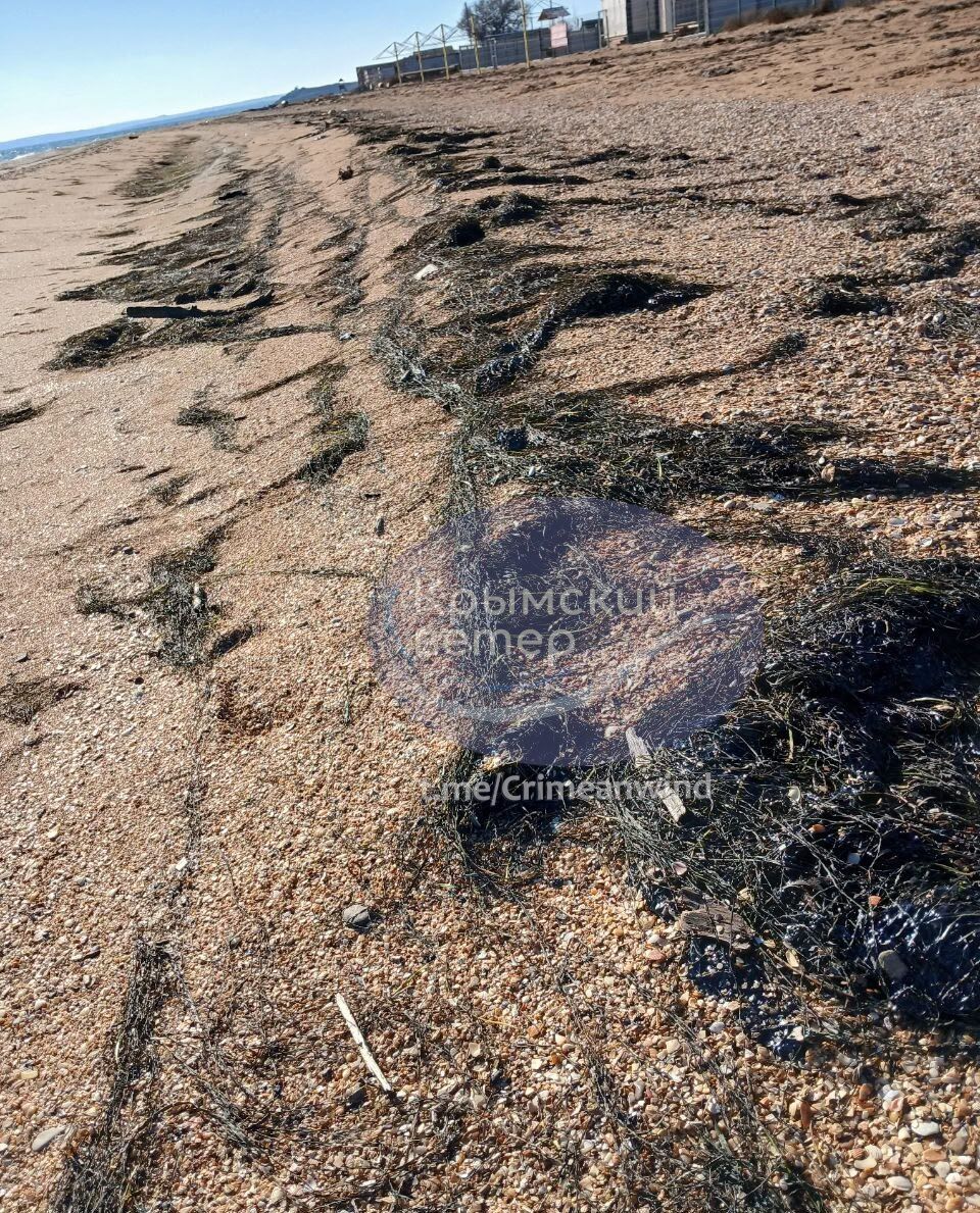 Предприниматели оккупированного Крыма бегут в Таиланд: из-за войны и мазута очередной туристический сезон будет сорван