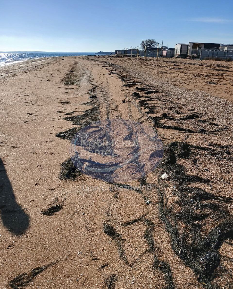 Предприниматели оккупированного Крыма бегут в Таиланд: из-за войны и мазута очередной туристический сезон будет сорван