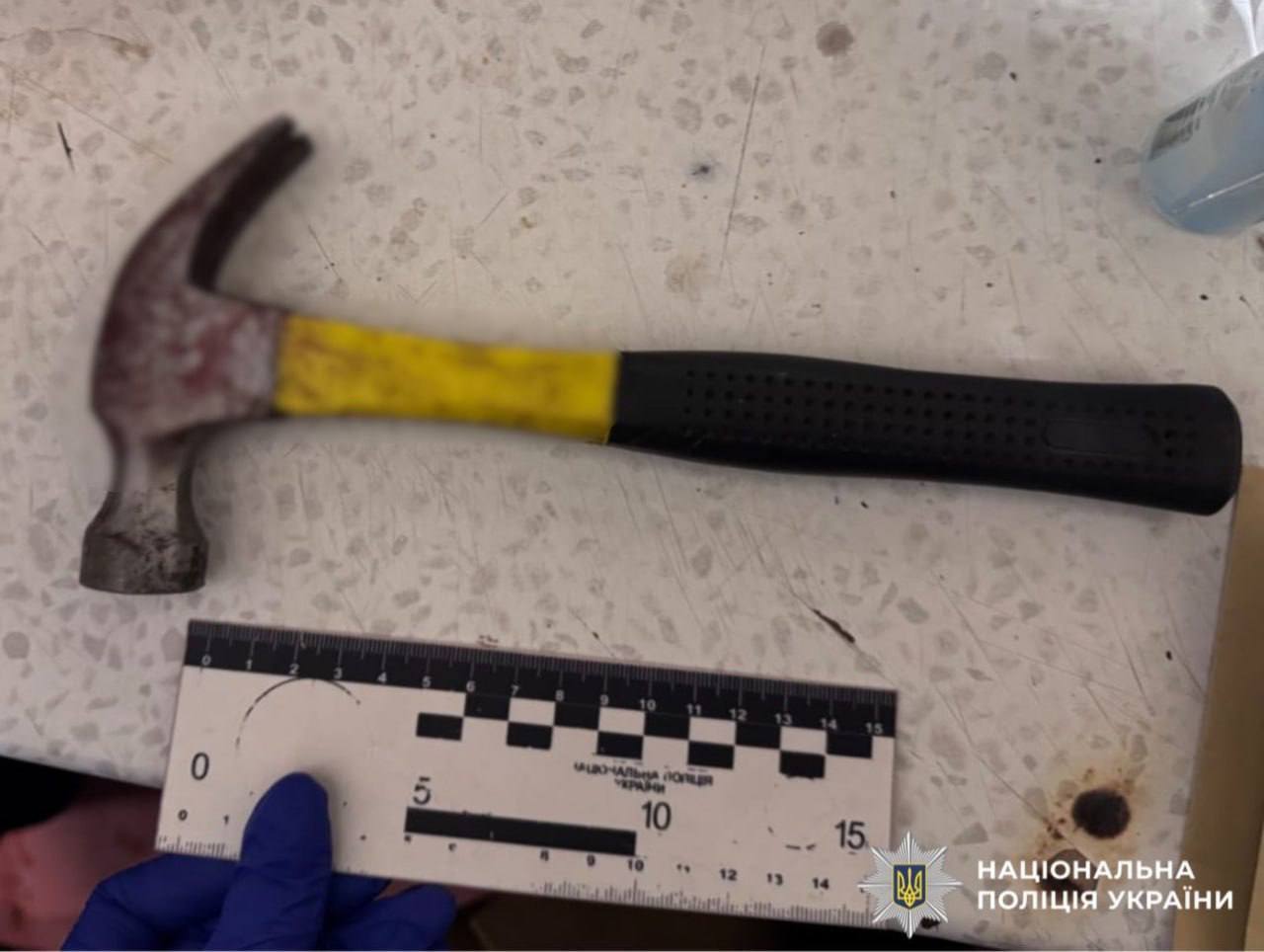 На Киевщине мужчина молотком доказывал свою правоту во время ссоры с сожительницей. Подробности и фото
