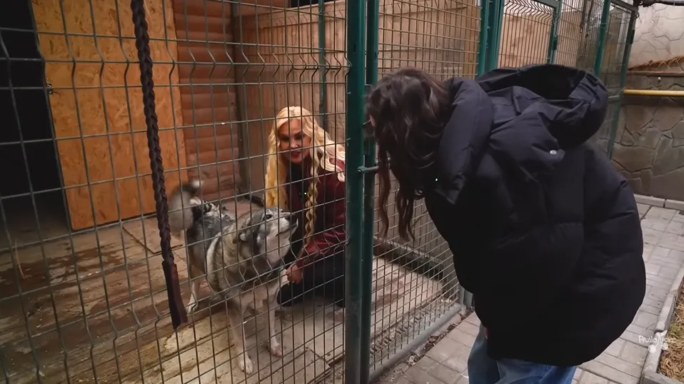 Камалия показала свой роскошный особняк за Киевом и напомнила украинцам Пшонку: собственная волчица, все в золоте, а внутри бассейн и солярий