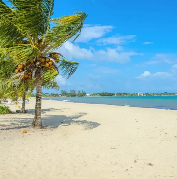 Куда поехать на Карибах: названы два "райских места"