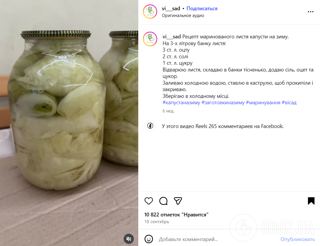 Как заготовить капустные листья на зиму: особенно удобно использовать для голубцов