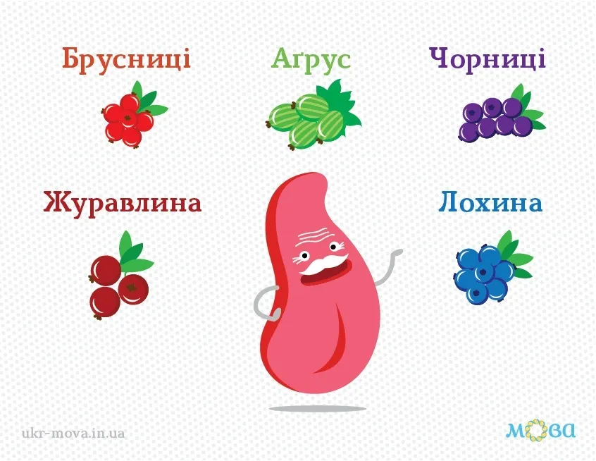 Що таке "брусника": як правильно перекласти українською