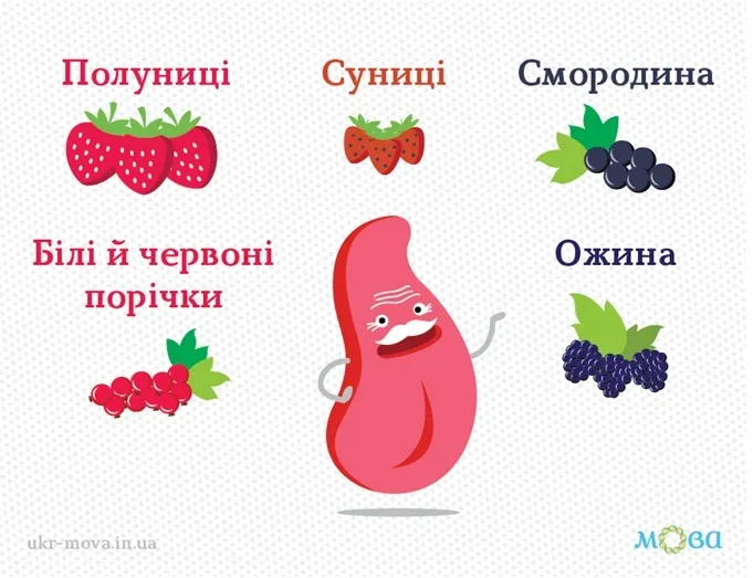 Що таке "брусника": як правильно перекласти українською
