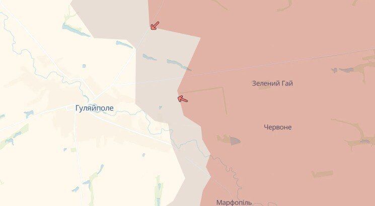 "Ситуация непростая, но": украинские военные остановили врага на подступах к Гуляйполю, – Волошин