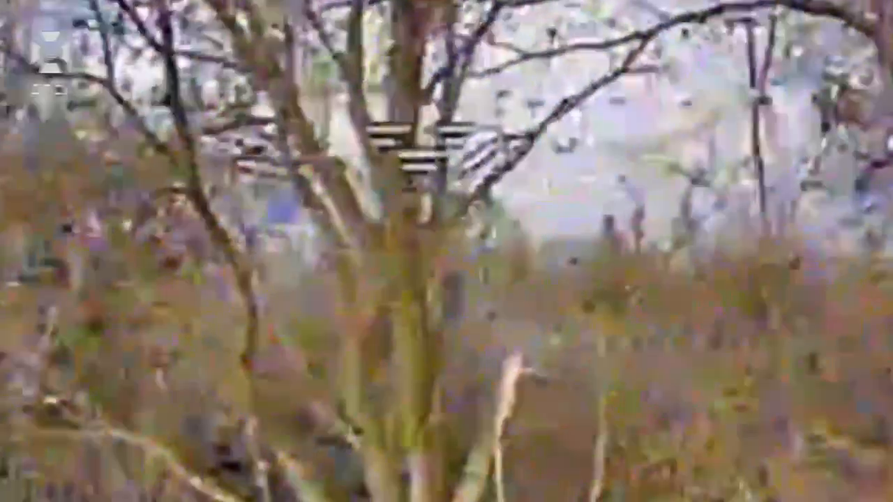 У врага минус укрытия, средства связи и не только: в ГПСУ показали точную работу на Северо-Слобожанском направлении. Видео